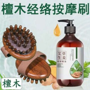 Wooden Meridian Massage Brush Set